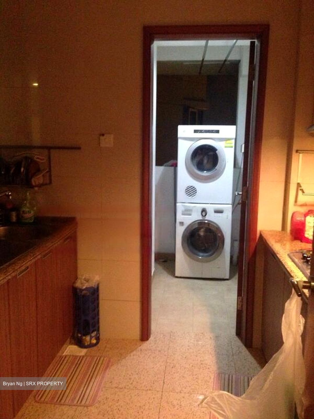 Rafflesia Condominium (D20), Condominium #603129531